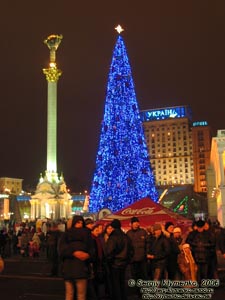 Фото Киева. Праздничная Площадь Независимости вечером: главная Новогодняя Ёлка страны. 2 января 2006 года.
