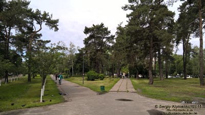 Фото Киева. В парке «Киото» (Деснянский район).
