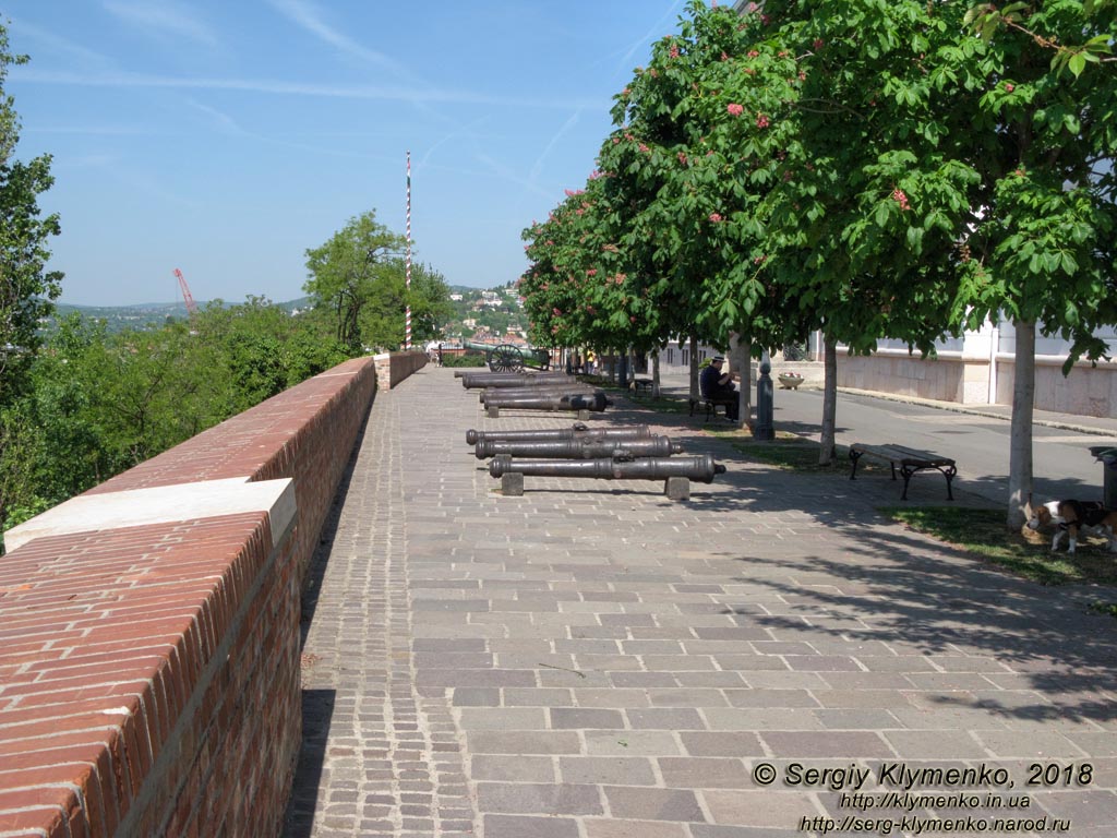 Будапешт (Budapest), Венгрия (Magyarország). Фото. Квартал Будайской крепости (Budai Várnegyed), Променад Арпада Тота (Tóth Árpád sétány). Исторические пушки (Történelmi ágyúk).