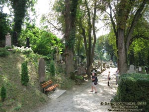 Румыния (România), город Сигишоара (Sighişoara). Фото. Старое немецкое кладбище.