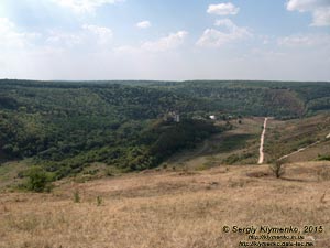 Тернопольская область, возле села Нырков. Фото. Урочище Червоне и Червоногородский замок (48°48'15"N, 25°35'48"E), вид с северо-востока (с дороги от села Нырков).