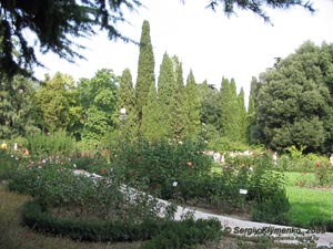 Крым. Никитский ботанический сад, вид на уголок розария.
