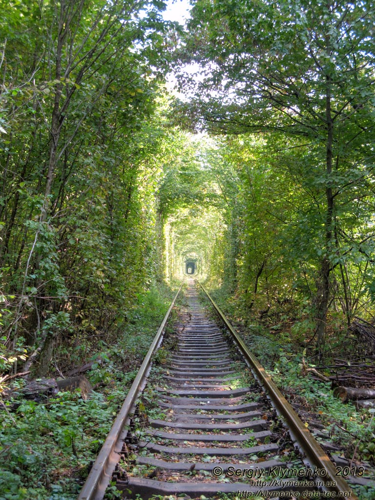 Ровенщина. Клевань. Фото. «Туннель любви».