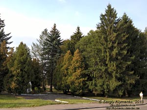 Волынская область, село Колодежно. Фото. Памятник Лесе Украинке в селе.