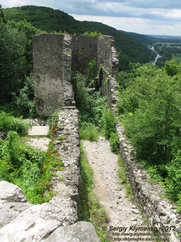 Закарпатская область, село Невицкое. Фото. В Невицком замке. Въездная шестиугольная башня. Вид с оборонных стен.