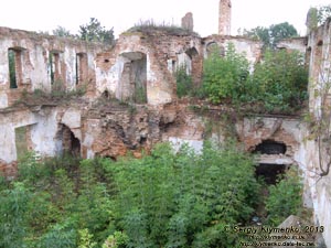 Хмельницкая область, Изяслав. Фото. Руины дворца Заславских.