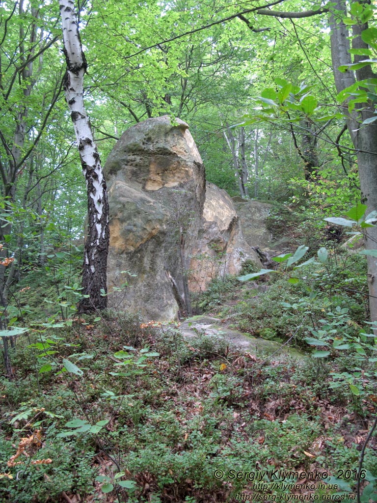 Львовская область. Розгирче. Фото. Возле скального монастыря (49°06'53"N, 23°42'01"E).