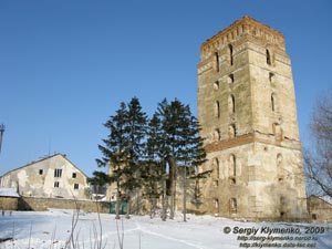 Подолье. Староконстантинов. Фото. Комплекс сооружений бывшего доминиканского монастыря (XVI-XVIII века). Вид от речки Случ.