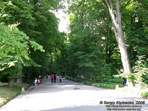 Умань, парк «Софиевка». Главная аллея.