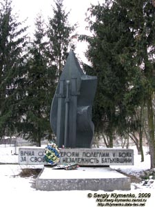 Ровенщина. Берестечко. Фото. Памятник героям, павшим в боях за свободу и независимость Родины.