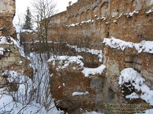 Львовская область. Старое Село. Фото. Замок в Старом Селе. Руины дворца вдоль северо-восточной стены замка. Вид изнутри замка.