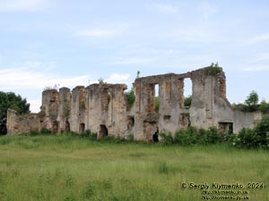 Новомалин (Ровненская область). Фото. Новомалинский замок - памятник архитектуры XIV века (50°17'48"N, 26°22'15"E). Руины дворца.