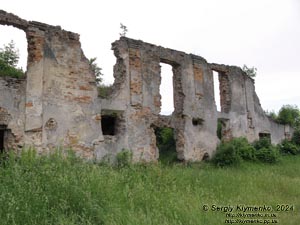 Новомалин (Ровненская область). Фото. Новомалинский замок - памятник архитектуры XIV века (50°17'48"N, 26°22'15"E). Руины дворца.