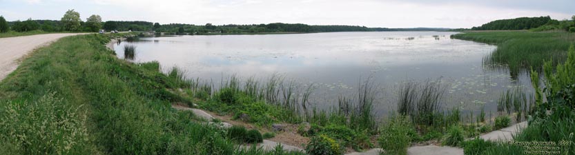 Новомалин (Ровненская область). Фото. Новомалинский пруд на речке Збитинка /Свитенка/ (50°17'41"N, 26°22'16"E). Панорама ~180°.