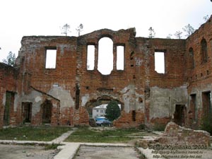 Житомирщина. Дениши. Фото. Руины дворца Терещенко. Вид изнутри.